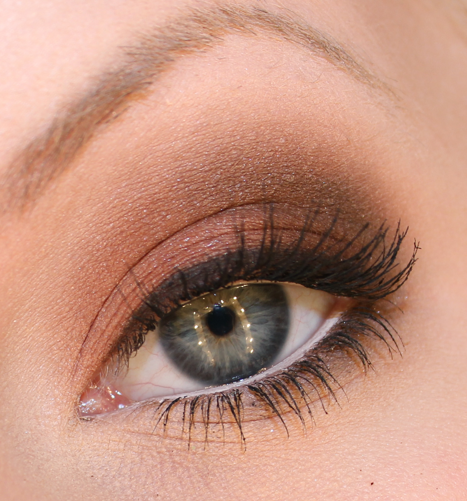 Barrido marrón - Tutorial