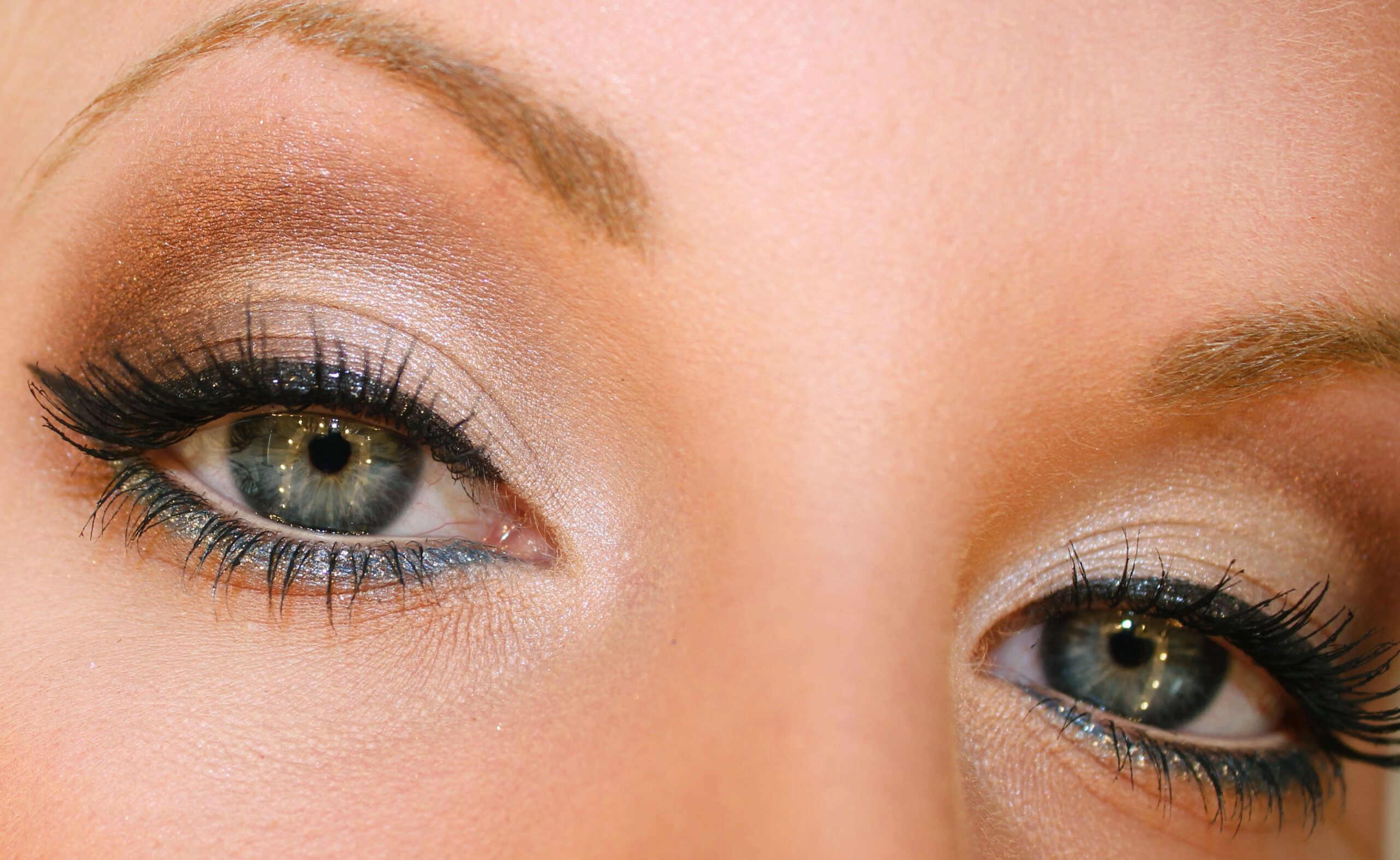 Todo en un mismo lugar