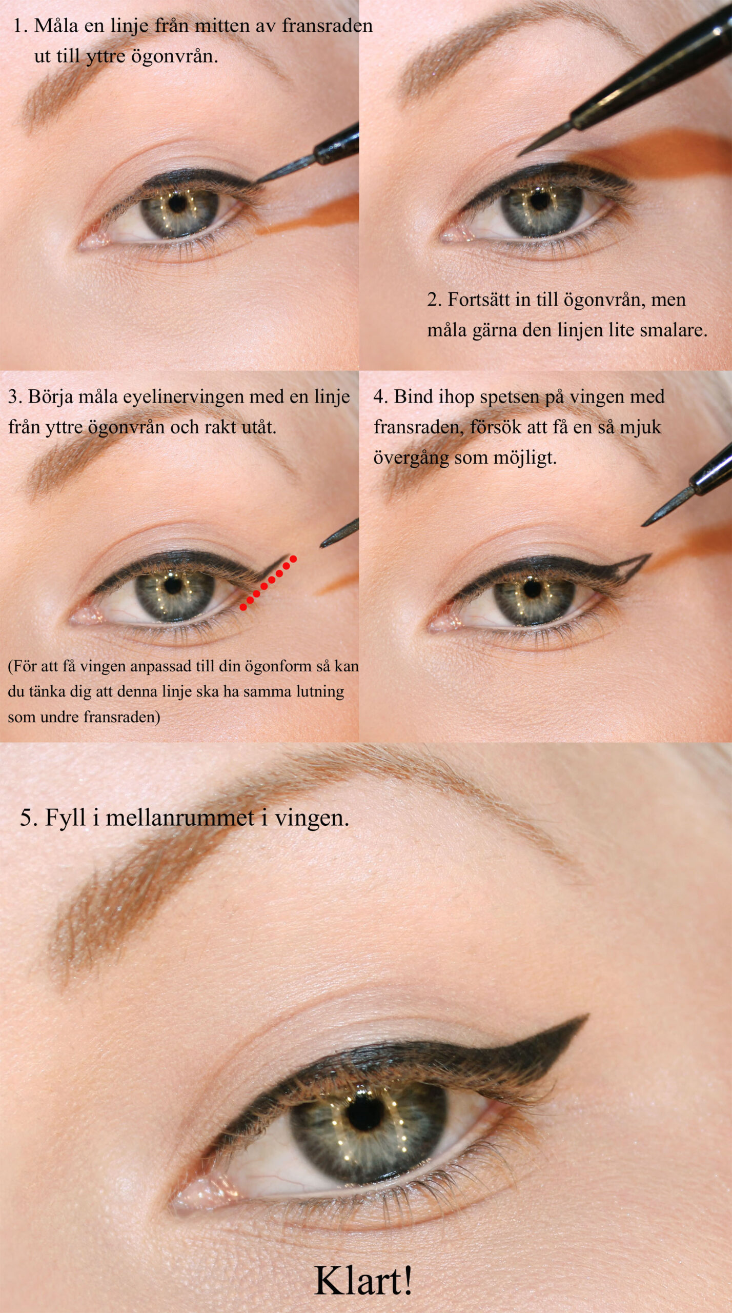 paint eyeliner with wing