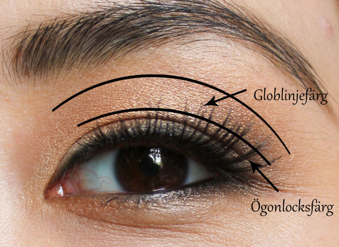 10 makeup tips asian eyes