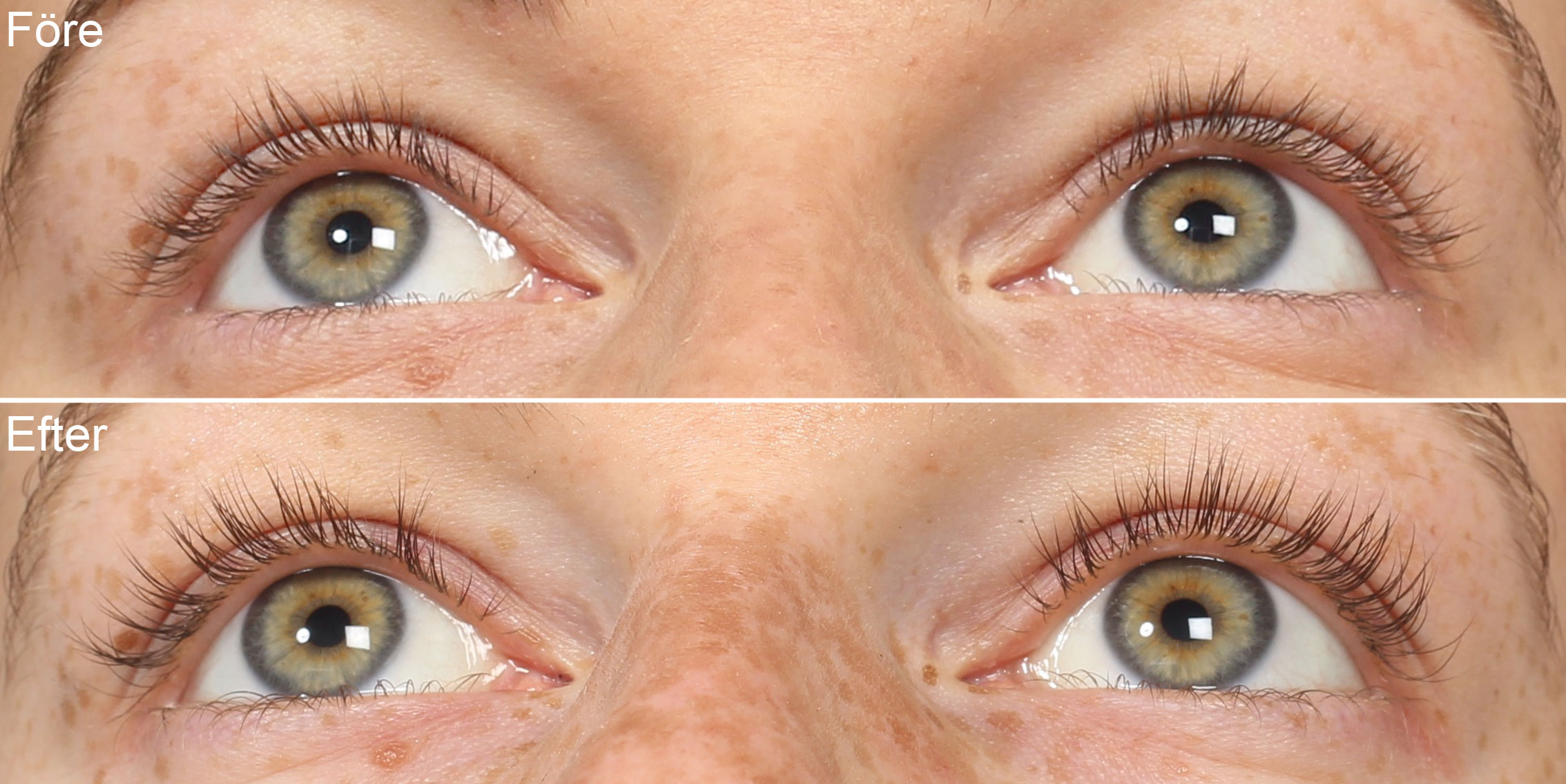 refectocil-beauty-lash-before-after