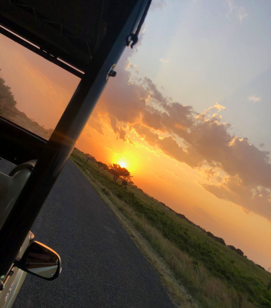 solnedgång sydafrika safari