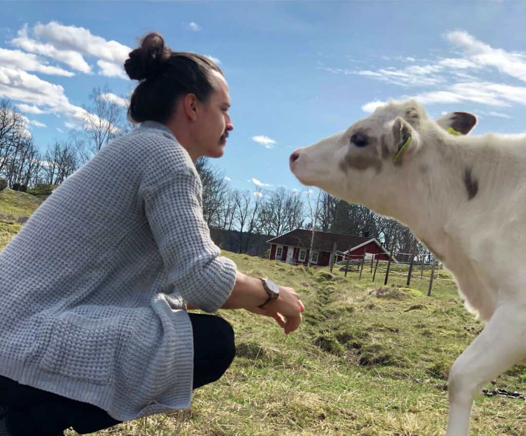 kroksta farm birthday celebrate april weather cow calf miska uppsala country hostel
