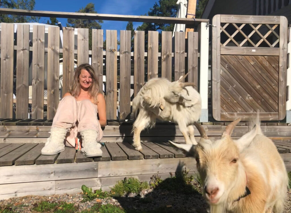 goats in ordinary garden pets